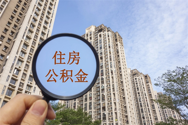 广州公积金提取公司